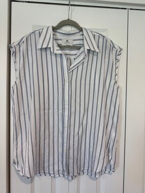 Aritzia Babaton sleeveless blouse